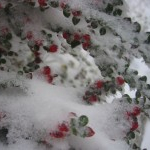 Pfarrwochenende am Sonntagberg